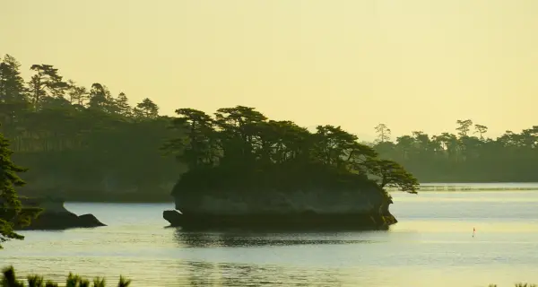 미야기 · Matsushima 실제 풍경