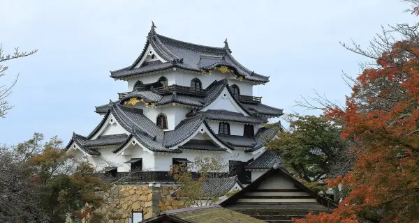 시가 · Hikone Castle 실제 풍경