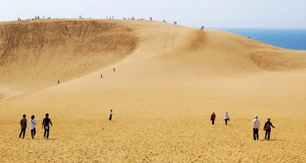 돗토리 · Tottori Sand Dunes 실제 풍경