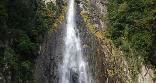 와카야마 · Nachi Falls 실제 풍경
